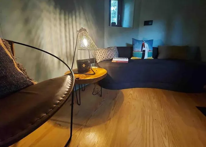 Casa Da Tintim Em Baiao