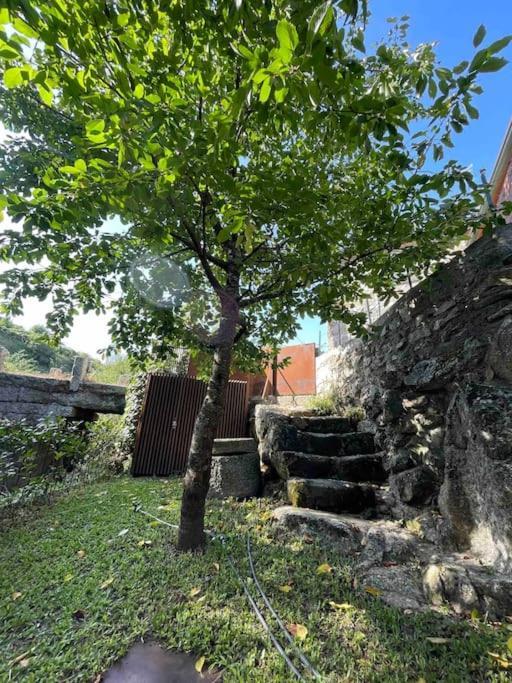 Casa Da Tintim Em Holiday home