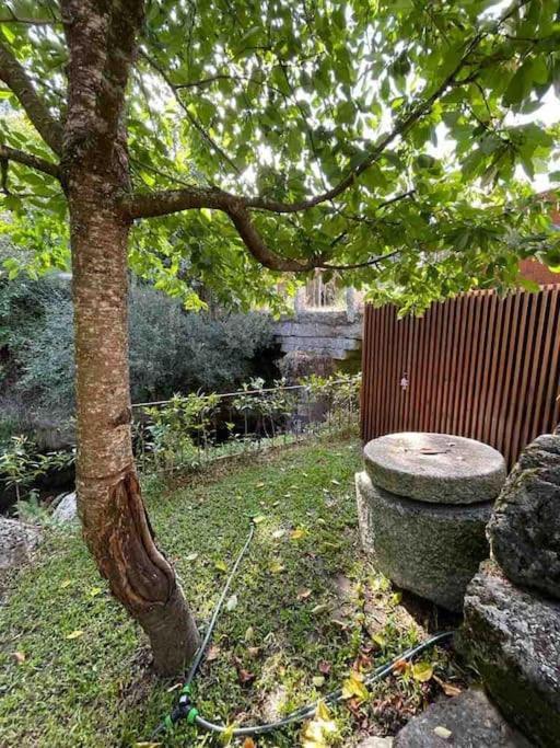 Casa Da Tintim Em Holiday home Baiao